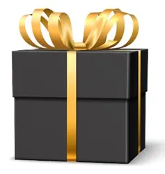 POCHETTE SURPRISE