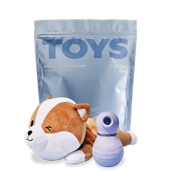 SHIBAE TOY 1